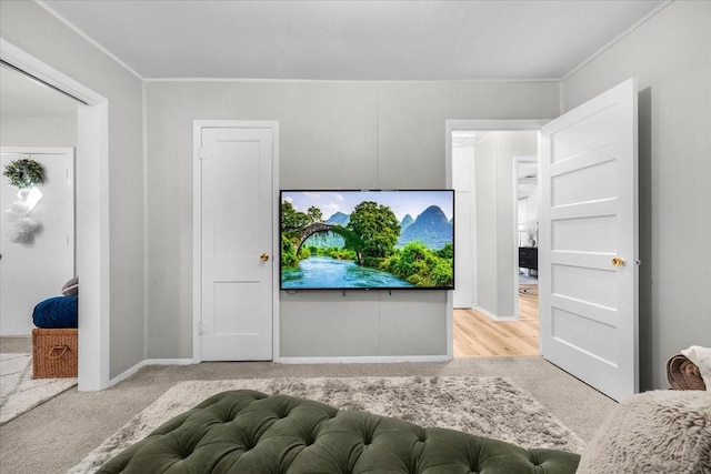 interior space featuring crown molding and carpet