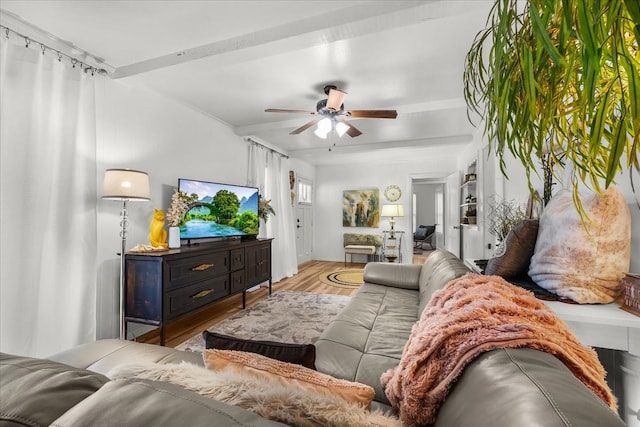living room featuring wood finished floors and ceiling fan