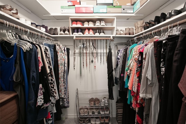 view of spacious closet