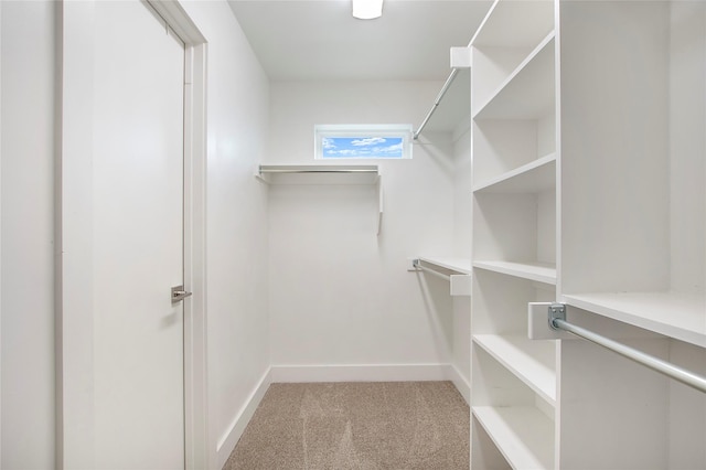 walk in closet with light colored carpet