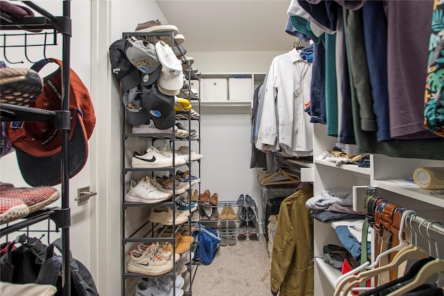 spacious closet with carpet