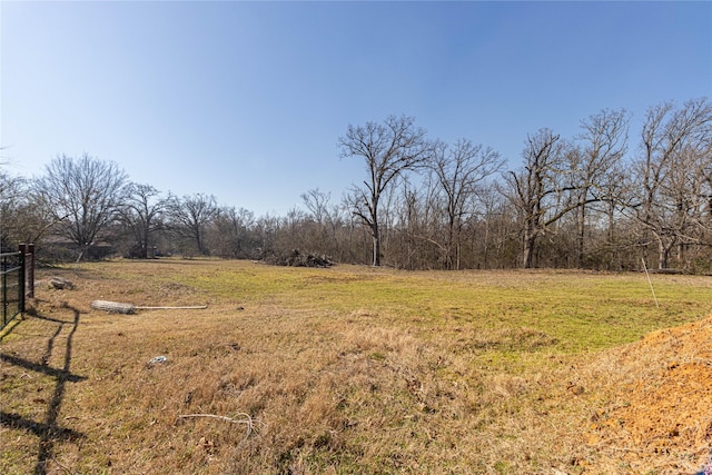 view of yard with a rural view