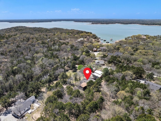 236 Homesite Rd, Pottsboro, TX 75076 - view of property location with a large body of water and a forest