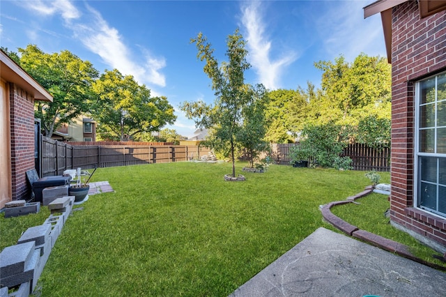 view of yard featuring a fenced backyard