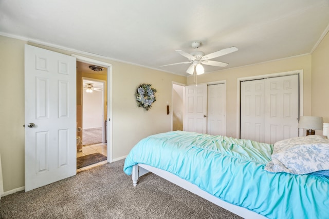 carpeted bedroom with a ceiling fan, visible vents, baseboards, multiple closets, and crown molding