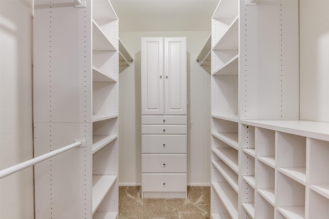 spacious closet featuring light colored carpet