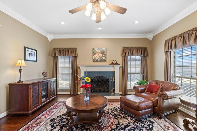 living area featuring a ceiling fan, wood finished floors, baseboards, a fireplace, and ornamental molding