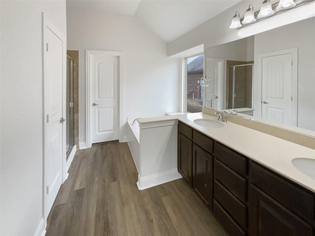 full bath featuring a sink, lofted ceiling, double vanity, and a shower stall