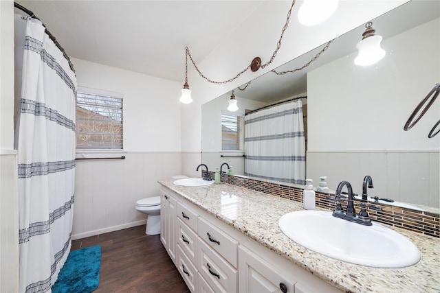 bathroom featuring wainscoting, a wealth of natural light, and a sink