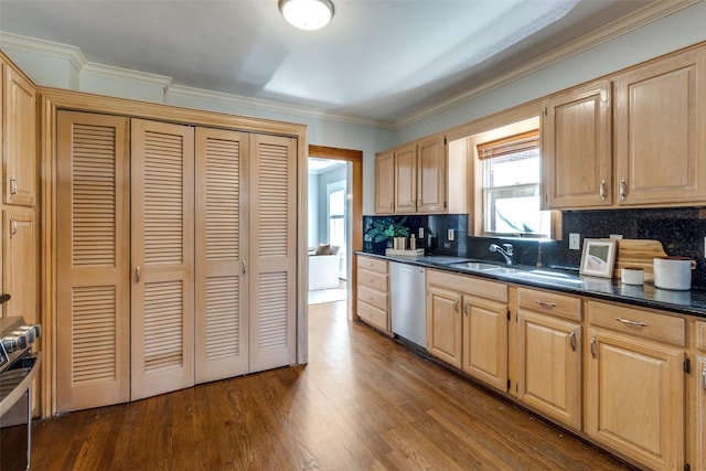 kitchen with a sink, backsplash, stainless steel dishwasher, dark countertops, and dark wood-style flooring