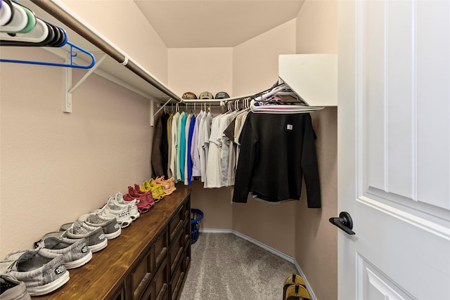 spacious closet with carpet floors