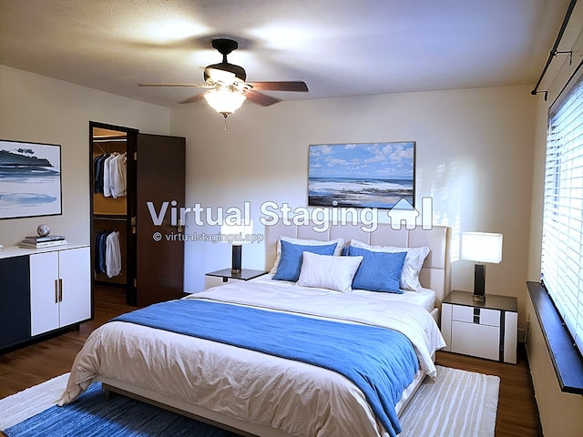 bedroom featuring wood finished floors, ceiling fan, a closet, and a walk in closet