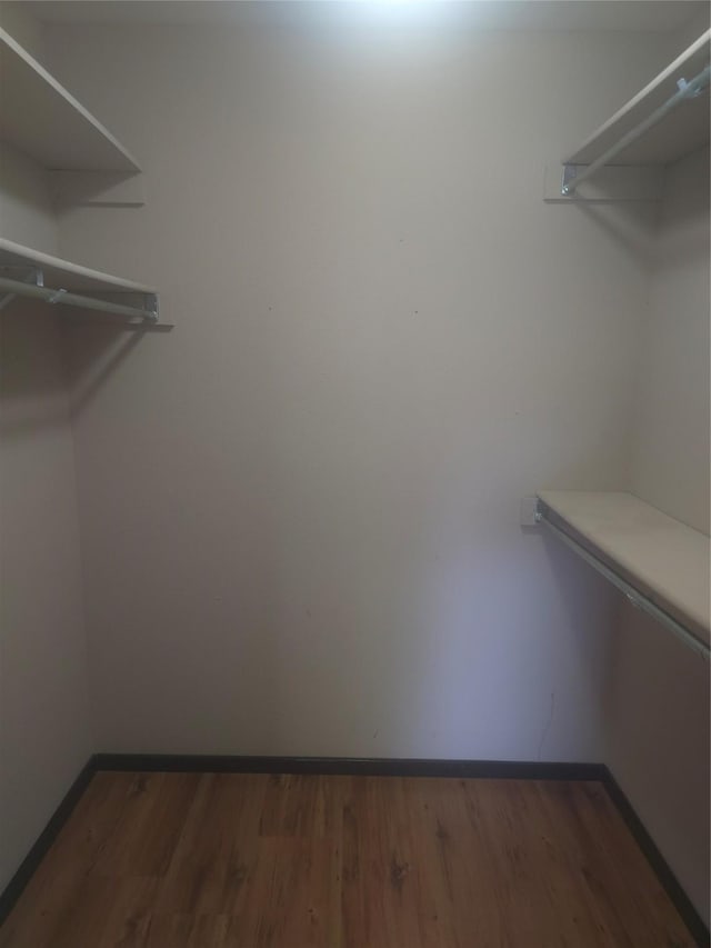 spacious closet featuring wood finished floors