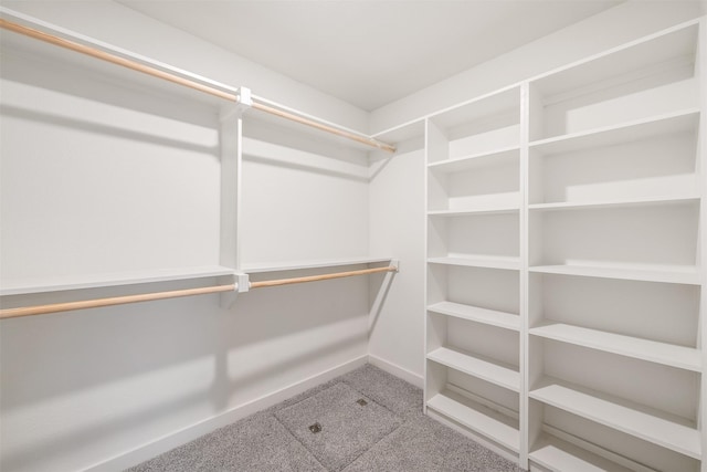 spacious closet featuring carpet floors