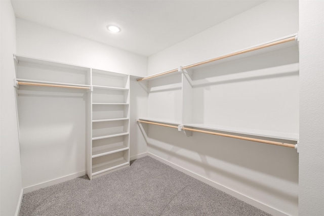 spacious closet with carpet floors