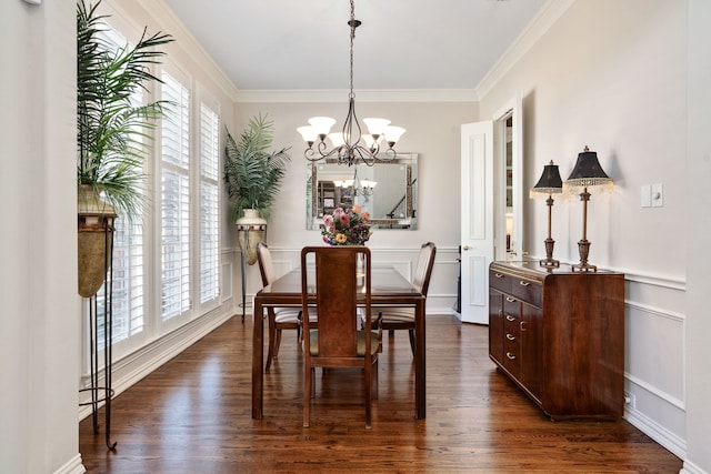 dining room featuring crown molding, a decorative wall, plenty of natural light, and dark wood-style floors