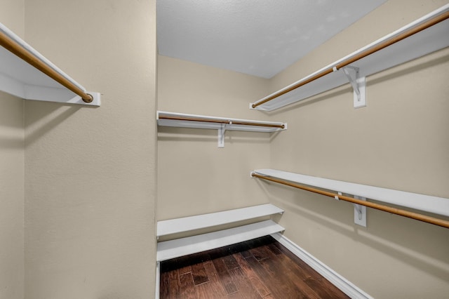 spacious closet with dark wood-style floors