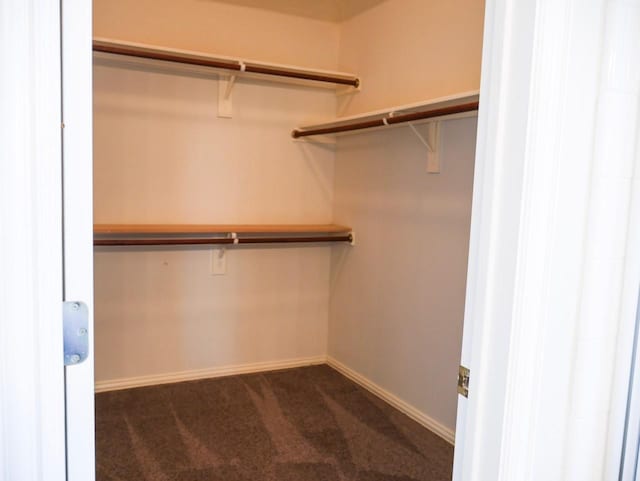 walk in closet with dark colored carpet