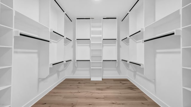 walk in closet featuring light wood-style flooring