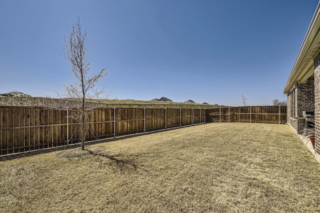 view of yard featuring a fenced backyard