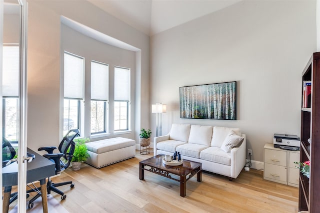 living room featuring light wood finished floors