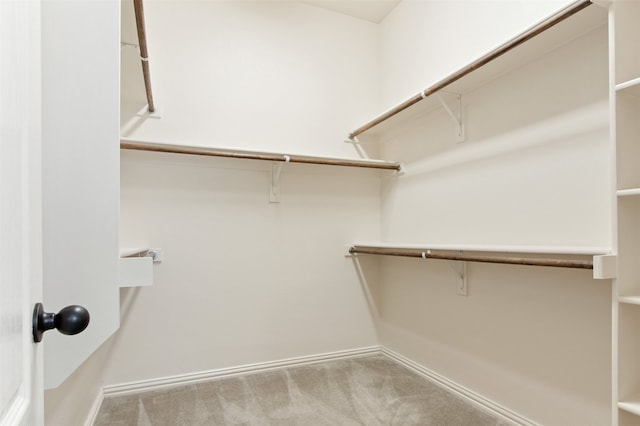 231 Archer Way, Forney, TX 75126 - spacious closet featuring carpet flooring
