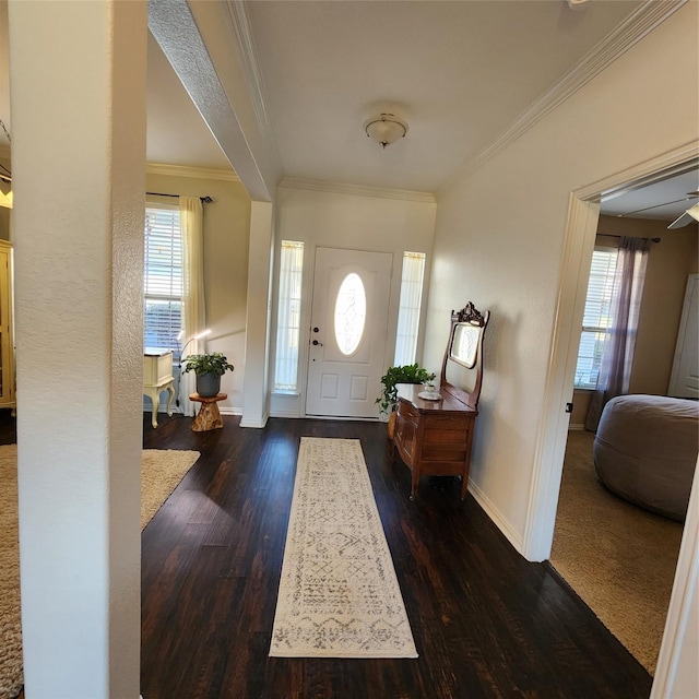 entryway with baseboards, a healthy amount of sunlight, and dark wood-style flooring