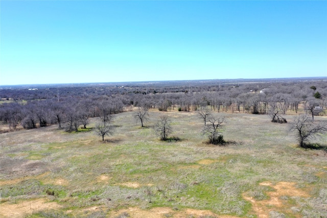 Listing photo 2 for 1802 Hlavek Rd, Decatur TX 76234