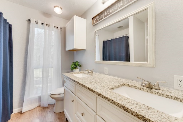 full bathroom with a sink, toilet, wood finished floors, and double vanity