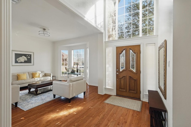 entryway with wood finished floors and a towering ceiling