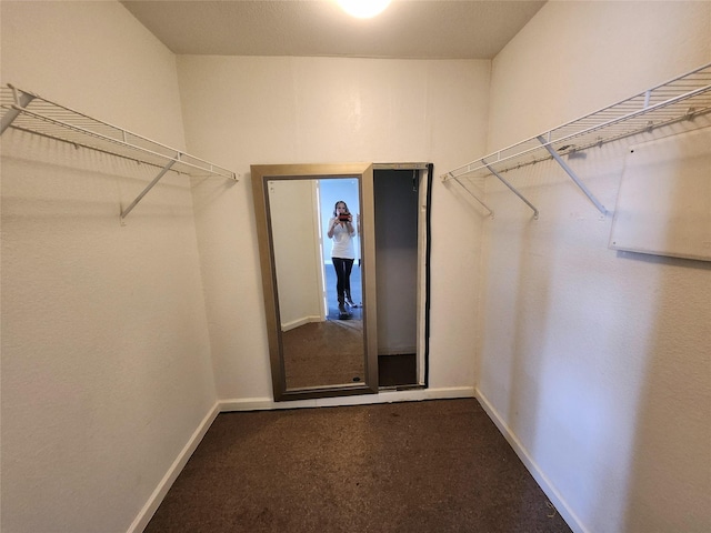 spacious closet with dark colored carpet