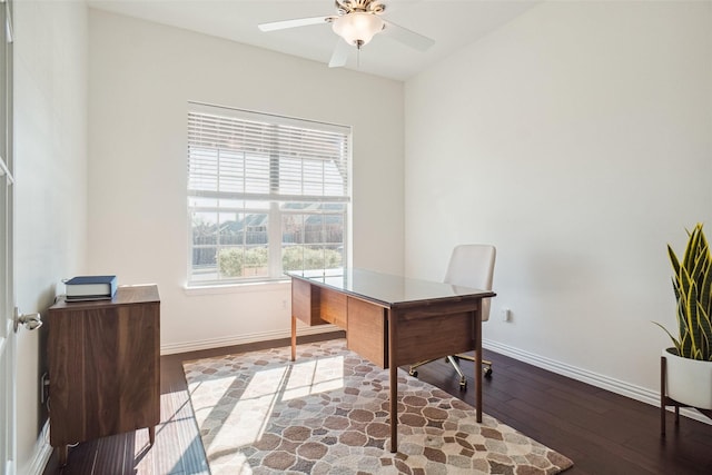 office featuring ceiling fan, baseboards, and hardwood / wood-style floors