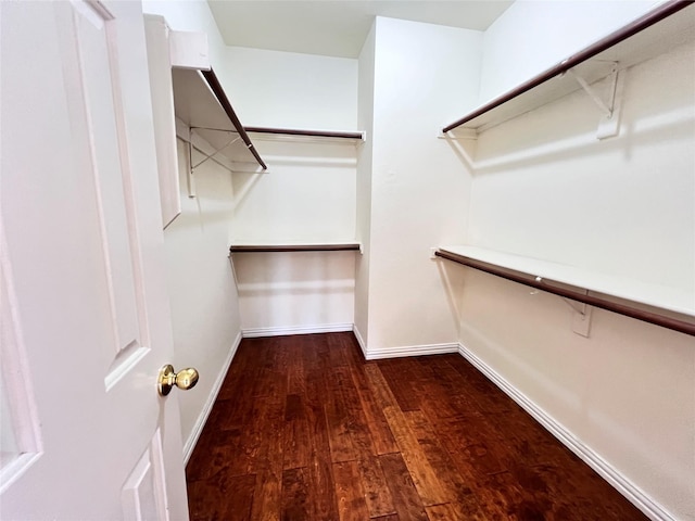 walk in closet with wood finished floors