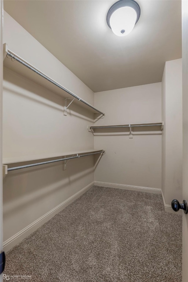 spacious closet with carpet flooring