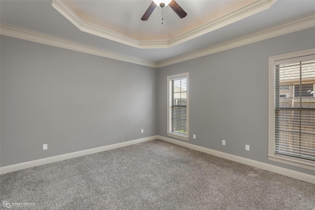 carpeted empty room with a ceiling fan, a raised ceiling, crown molding, and baseboards