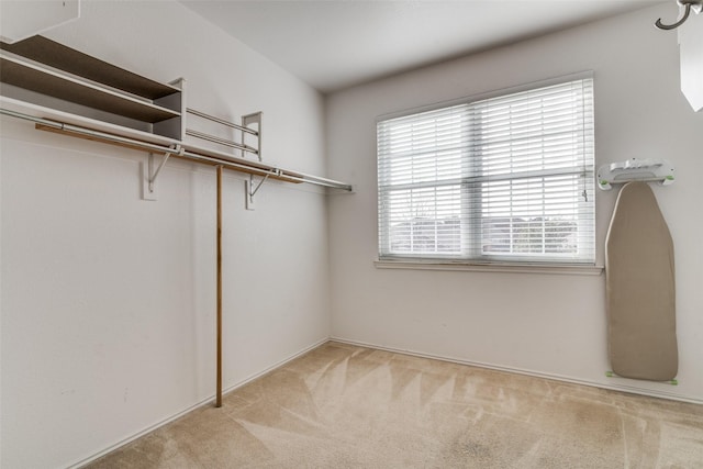 spacious closet with carpet floors