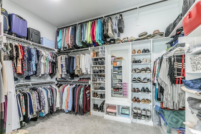 spacious closet with carpet floors