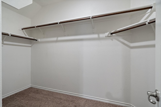 spacious closet featuring carpet floors