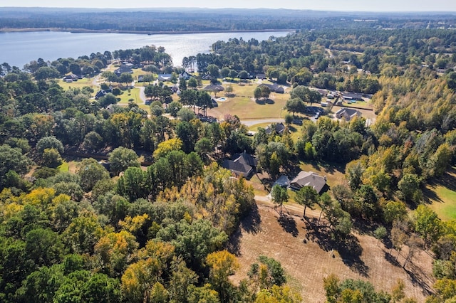 birds eye view of property with a forest view and a water view