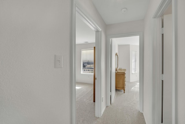 hall with baseboards and carpet floors