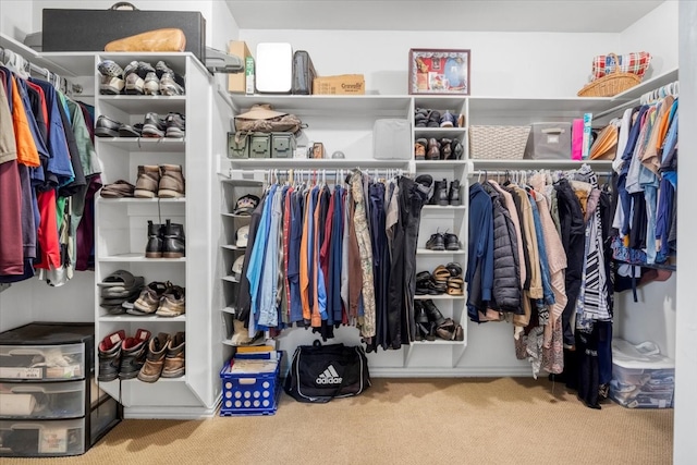 walk in closet with carpet