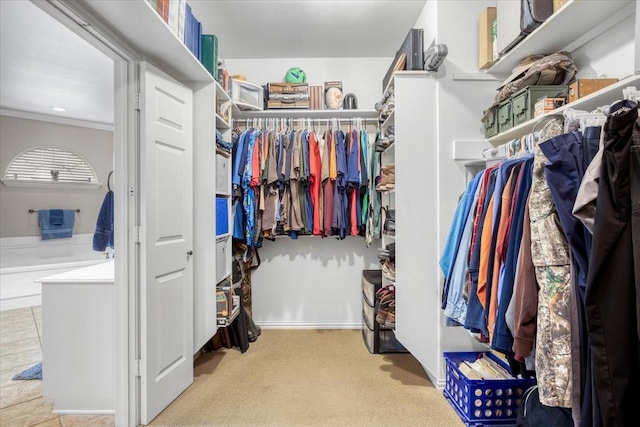 walk in closet featuring carpet