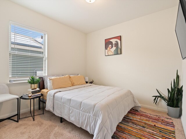 14157 Stallion Ridge Dr, Dallas, TX 75253 - bedroom with light carpet and baseboards
