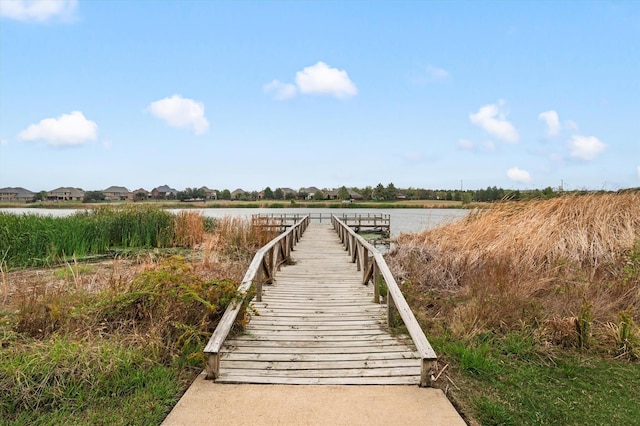 dock area with a water view