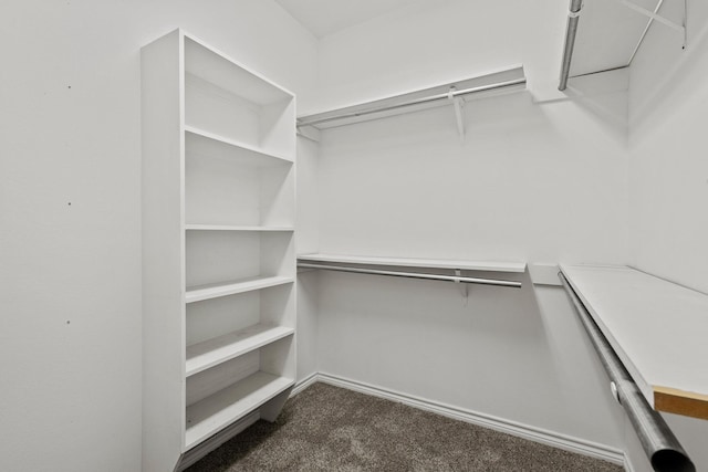 walk in closet featuring dark colored carpet