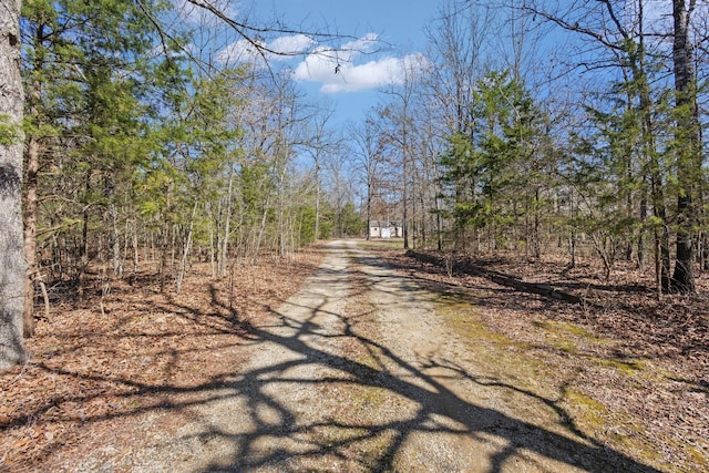 view of road featuring driveway