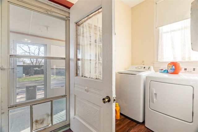 washroom featuring dark wood-style floors, washer and dryer, and laundry area