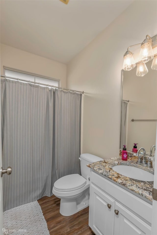 bathroom with vanity, toilet, and wood finished floors