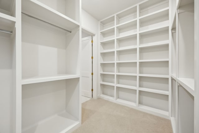 walk in closet featuring light colored carpet