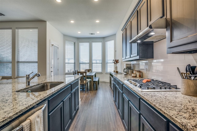 kitchen featuring under cabinet range hood, wood finished floors, stainless steel appliances, and a sink